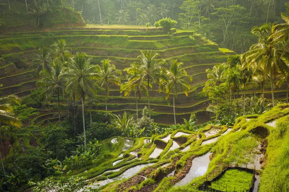 Bali - Thiên đường du lịch mang đậm bản sắc văn hóa Hindu - Ảnh 5.
