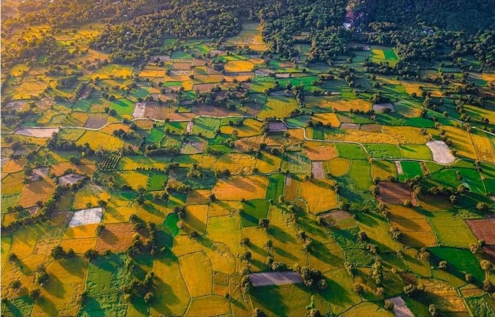 Cánh đồng Tà Pạ cách thị trấn Tri Tôn khoảng 1km. (Ảnh: Văn Thái)