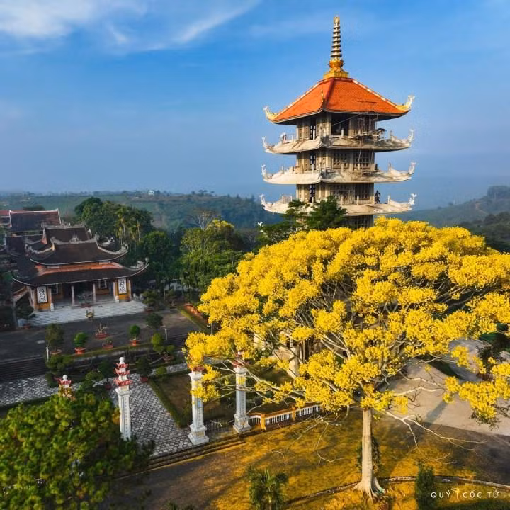 Những tòa công trình của tu viện được điểm tô bởi hàng cây phượng vàng. (Ảnh: ngotranhaian)