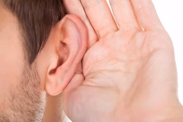 Tiếng ồn, tổn thương tai hoặc tác động từ thuốc là những nguyên nhân phổ biến gây ù tai (Ảnh: ST)