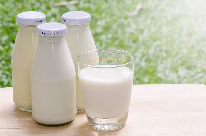 Sữa là thức ăn tốt cho mọi lứa tuổi (Ảnh minh họa: G.L)