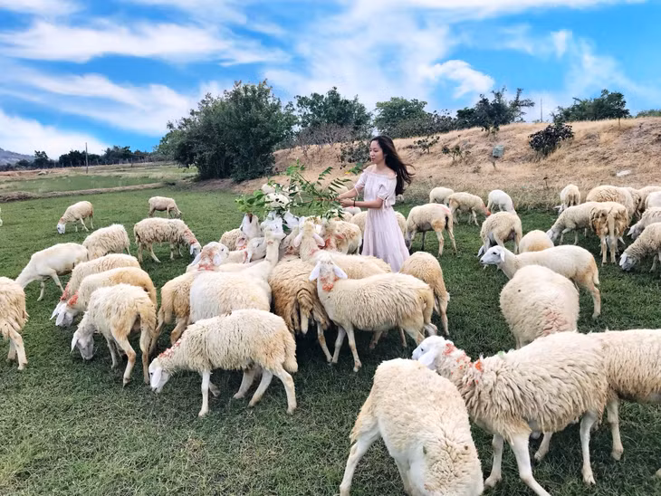 Ảnh: Lã Huyền My