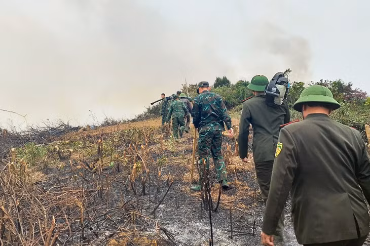 Các lực lượng tham gia chữa cháy rừng.