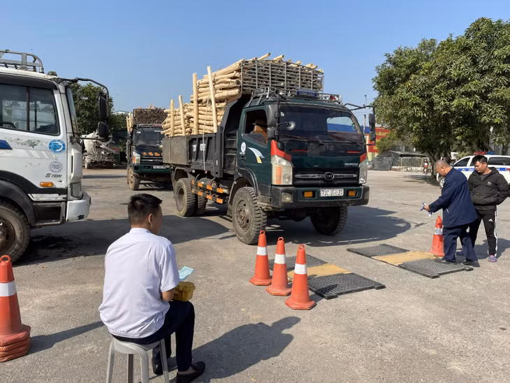 Kiểm tra, xử lý đối với các phương tiện vận tải chở keo vi phạm quá khổ, quá tải