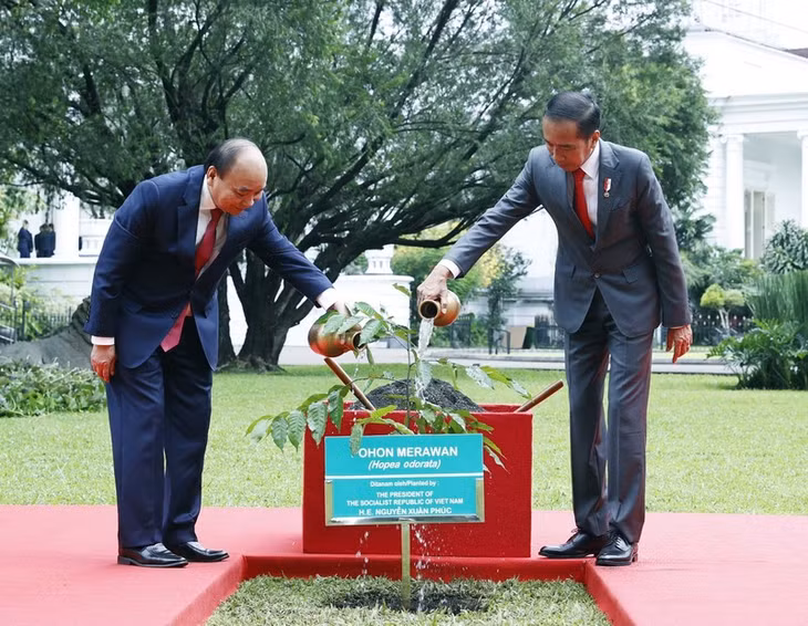 Trong chuyến thăm, Tổng thống Joko Widodo đã mời Chủ tịch nước Nguyễn Xuân Phúc trồng cây sao đen tại Dinh Tổng thống, gửi gắm kỳ vọng cây mau lớn, ngày càng xanh tốt.