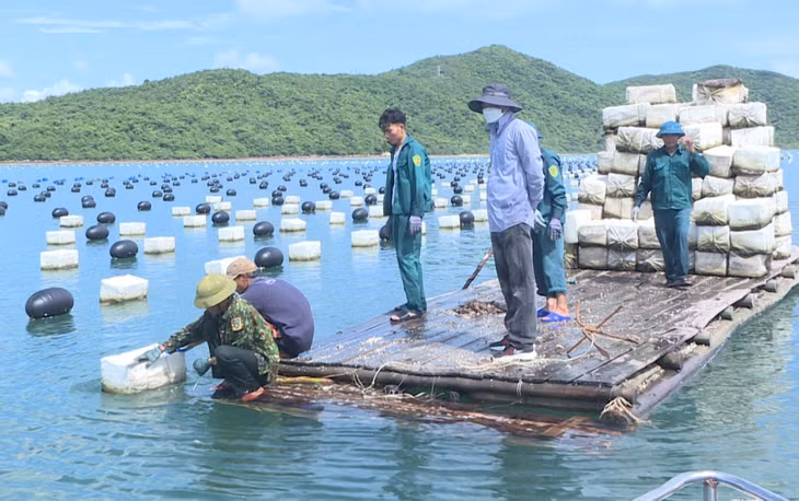Người dân xã Ngọc Vừng (huyện Vân Đồn) chuyển đổi từ phao xốp sang phao nhựa HDPE trong nuôi trồng thủy sản.