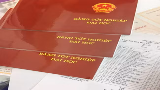 Ảnh minh họa: VGP
