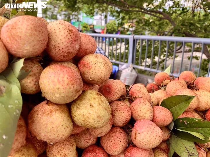 Những quả vải Thanh Hà tươi ngon được tiểu thương này bán theo cân, với giá 35.000/kg.