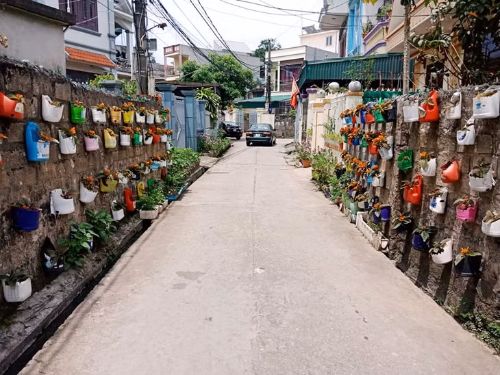 Từ mô hình đường hoa, những bức tường hoen ố, rêu mốc giờ đã trở lên sống động với những giỏ hoa xinh xắn làm từ các vỏ can, hộp nhựa đã qua sử dụng.