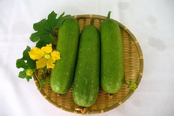 Bí đao là thực phẩm rất tốt đối với sức khỏe (Ảnh minh họa)