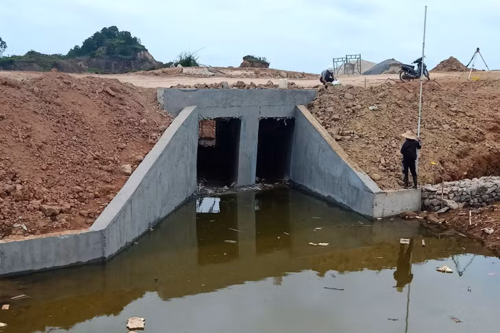 Dự án sửa chữa, nâng cấp đê từ Cầu Voi (xã Vạn Ninh) đến Miếu Tầu (phường Ninh Dương) có tổng mức đầu tư 25,3 tỷ đồng, với chiều dài tuyến 1.370m, sửa chữa 3 cống dưới đê, khắc phục những đoạn đê bị xói lở, sụt lún.
