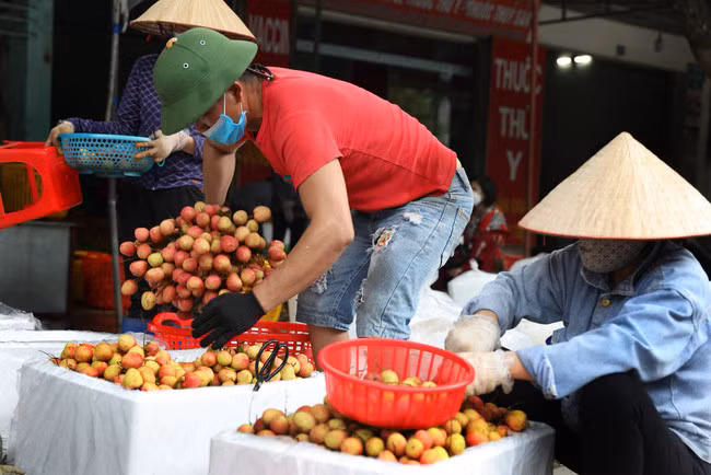 Ưu tiên cấp C/O cho nông sản xuất khẩu ảnh 1