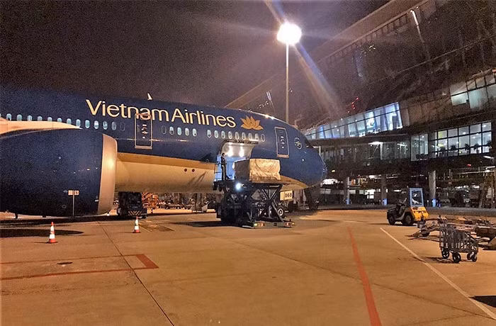 Boeing 787 và Airbus A350 là các dòng tàu bay thân rộng có trang thiết bị hiện đại và sức tải lớn nhất trong đội bay của Vietnam Airlines, giúp đảm bảo hiệu quả vận tải hàng tươi sống ở mức độ cao nhất.