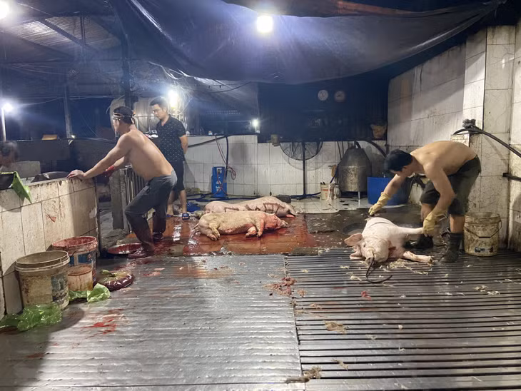 Công nhân cơ sở giết mổ tập trung phường Hà Phong không đeo khẩu trang, mặc quần áo bảo hộ theo quy định; việc cắt tiết, cạo lông, tháo phân, làm lòng ngay trong một ô.