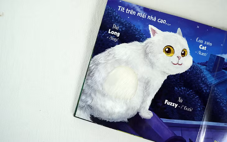 Một bạn mèo lông mềm mượt.