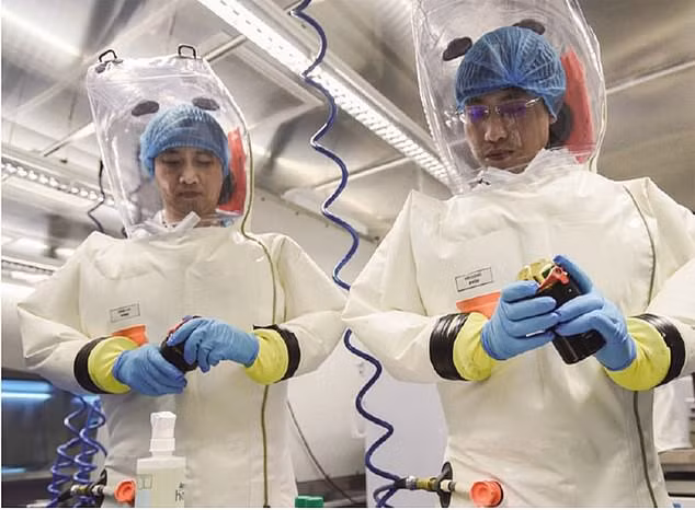 Các nhà nghiên cứu tại Viện Virus học Vũ Hán. Ảnh: Daily Mail