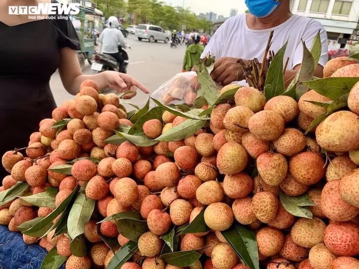 Một tiểu thương tại khu vực Ngã tư Sở (Quận Thanh Xuân) cho biết, vào những ngày này, ông bán hết cả nửa tạ vải tươi mỗi ngày.