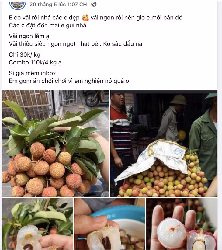 Không chỉ ở chợ và siêu thị, vải tươi còn xuất hiện nhiều trên "chợ mạng". Hiện các trang Facebook cá nhân đang tích cực rao bán và cũng được nhiều người mua quan tâm, nhất là khi dịch bệnh khiến khách hàng có tâm lý ngại đến những nơi đông người, muốn mua hàng online.