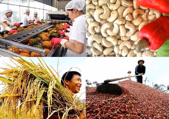 Xuất khẩu nông sản tăng trưởng ấn tượng 5 tháng đầu năm.
