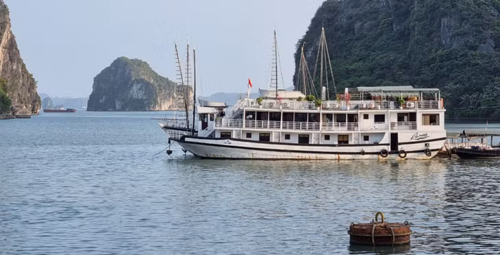 Nhiều chủ tàu mong muốn tỉnh có chính sách mở hơn trong việc thay thế tàu lưu trú vỏ gỗ đang kinh doanh trên Vịnh Hạ Long khi tàu hết niên hạn.