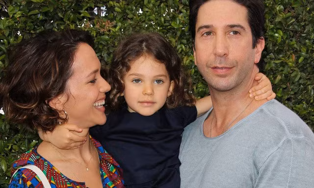 David Schwimmer đã ly hôn vợ vào năm 2017.