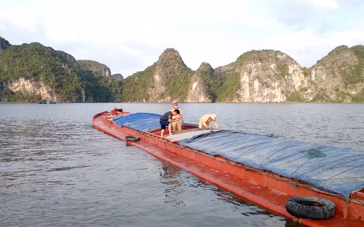 Tàu NĐ-1640 gặp nạn, có nguy cơ chìm, đắm.