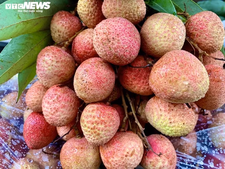 Cô Mai, bán hoa quả tại chợ Vĩnh Hồ cho biết cô đang bán vải tươi với giá 50.000 đồng/kg và giải thích thêm rằng giá này đã giảm đi rất nhiều.