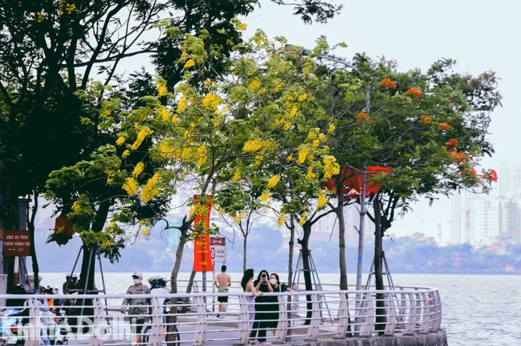Muồng hoàng yến còn có một số tên khác như muồng hoàng hậu, hoa lồng đèn, bò cạp nước, bò cạp vàng, mai dây, cây xuân muộn, mai nở muộn.