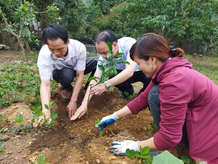 Cán bộ HND TP Hạ Long hướng dẫn hội viên thực hiện mô hình trồng cây bưởi da xanh.