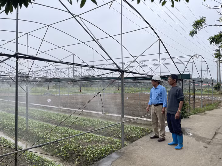 Diện tích rau an toàn sử dụng công nghệ G-tex của Công ty CP Đầu tư và Xây dựng Việt Long.