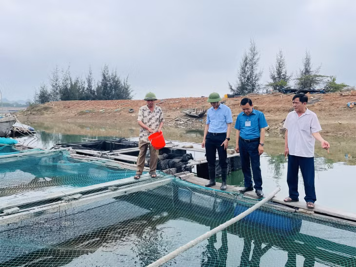 Mô hình nuôi cá lồng bè của hộ anh Vũ Văn Lực (khu Bến Giang, phường Tân An).