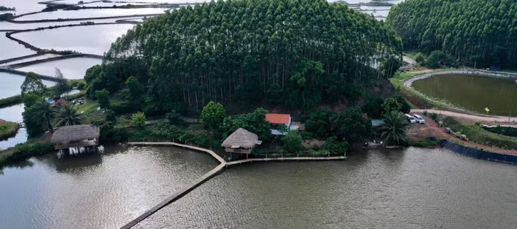 Toàn cảnh mô hình Khu sinh thái gia đình Family Ecozone của gia đình anh Nguyễn Văn Trưởng, xã Hải Lạng, huyện Tiên Yên.