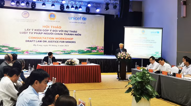 GS.TS. Nguyễn Hòa Bình, Ủy viên Bộ Chính trị, Bí thư Trung ương Đảng, Chánh án Tòa án Nhân dân tối cao, phát biểu khai mạc hội thảo.