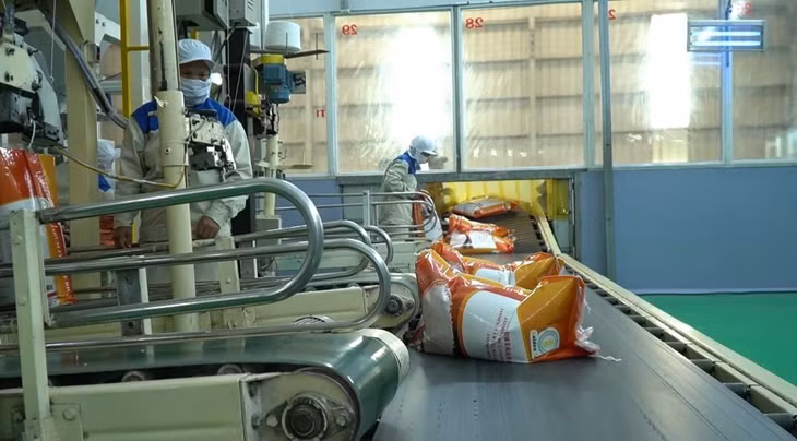 Xuất khẩu gạo liên tục lập nhiều kỷ lục mới
