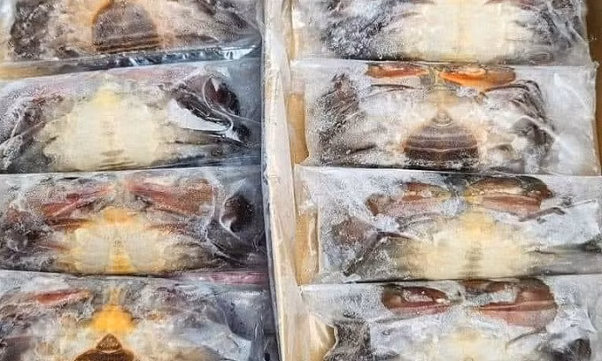 Cua đông lạnh được đóng gói trong thùng giấy một hộp 8-10 con. Ảnh: Linh Đan