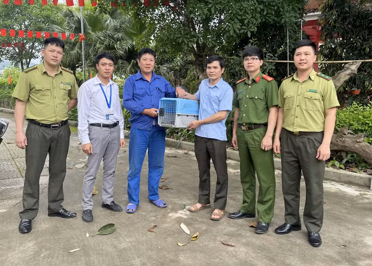Thực hiện bàn giao cá thể Cu li lớn về Trung tâm Cứu hộ, Bảo tồn và Phát triển sinh vật – Vườn Quốc gia Cúc Phương.