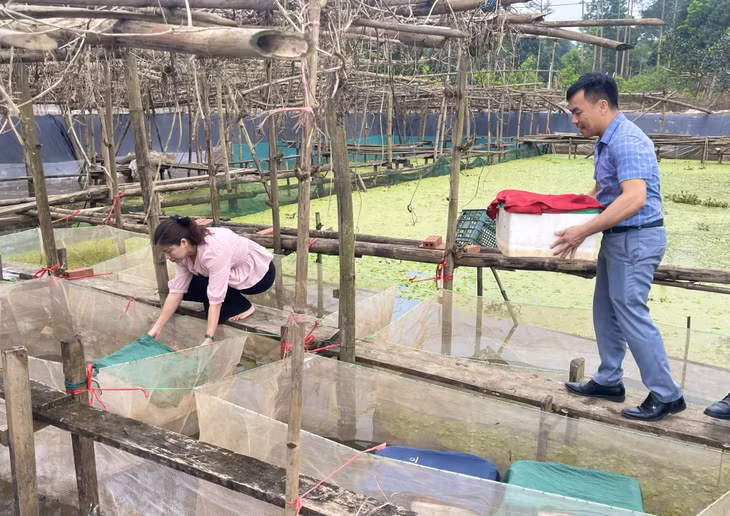 Cán bộ kỹ thuật trực tiếp hướng dẫn kỹ thuật nuôi thả cho gia đình ông Mạc Văn Từng.
