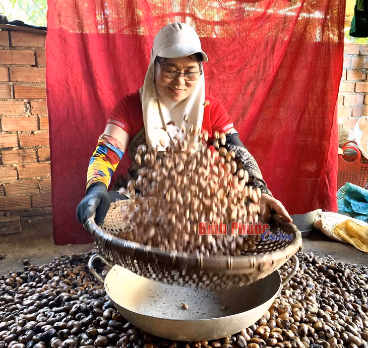 Sau khi rang, bà The sàng hạt điều để tránh muối bám vào vỏ lụa, thấm làm mặn hạt điều