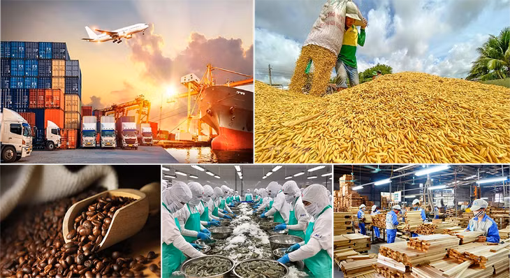 Bức tranh sáng nhất, xuất nhập khẩu năm 2024 dự báo đạt trên 790 tỷ USD ảnh 1