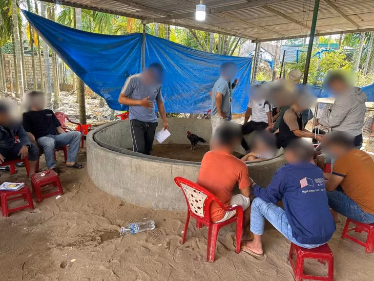 Hiện trường sới gà đánh bạc tại nhà ông Võ Thanh Hùng.