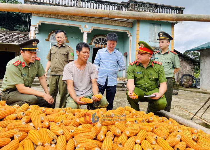 Công an huyện Hải Hà và Công an xã Quảng Đức (huyện Hải Hà) nắm tình hình địa bàn biên giới trong khu dân cư.