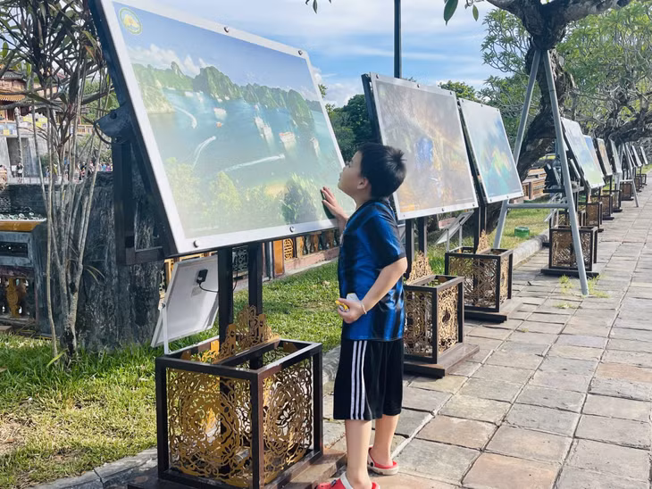 Hình ảnh Vịnh Hạ Long được quảng bá tại triển lãm ảnh.