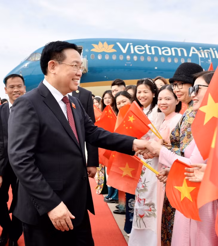 Cán bộ, nhân viên Đại sứ quán và đại diện cộng đồng người Việt Nam đón Chủ tịch Quốc hội Vương Đình Huệ tại sân bay quốc tế Bắc Kinh. Ảnh: Lê Tuyết