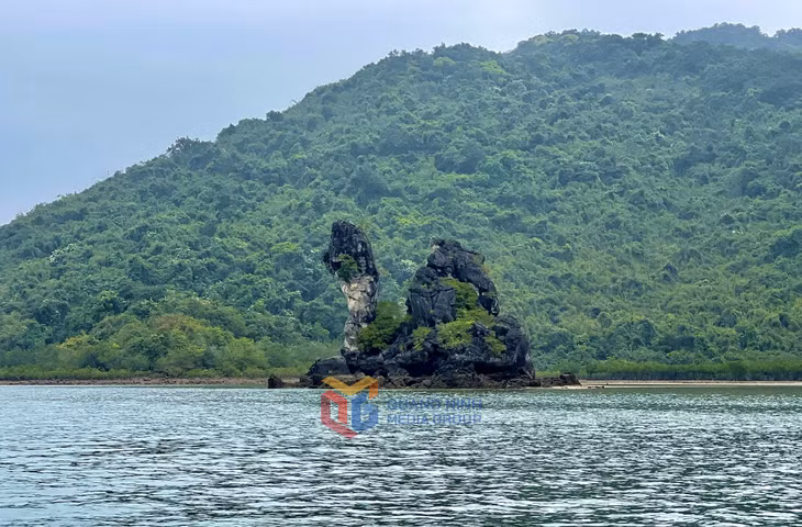 Khu vực hòn Thiên Nga tại vụng Trà Thần, thuộc Vườn Quốc gia Bái Tử Long có tiềm năng để phát triển du lịch tham quan trong ngày.
