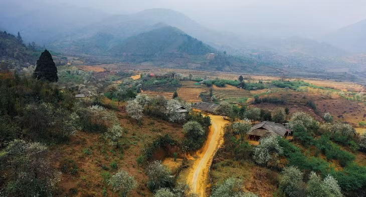 Lùng Cúng (thuộc xã Nậm Có, huyện Mù Cang Chải, tỉnh Yên Bái) là điểm cao nhất trong dãy Hoàng Liên Sơn. Nằm ở ranh giới giữa huyện Mù Cang Chải và huyện Văn Bàn của tỉnh Lào Cai, đỉnh cao 2.913 m so với mực nước biển, nơi đây có khí hậu mát mẻ quanh năm, thường được bao phủ bởi mây và sương mù.