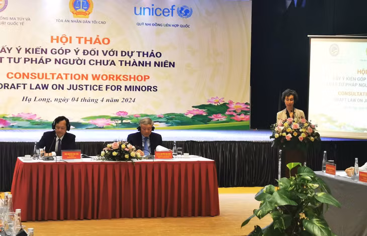 Bà Lesley Miller, Phó trưởng Đại diện UNICEF Việt Nam, phát biểu tại hội thảo.