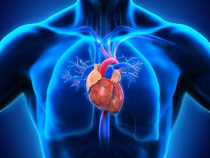 Pin oxygen có thể loại bỏ nhu cầu phẫu thuật xâm lấn cho các bệnh nhân sử dụng máy trợ tim và các thiết bị cấy ghép khác bên trong cơ thể (Ảnh: nerthuz/Adobe).
