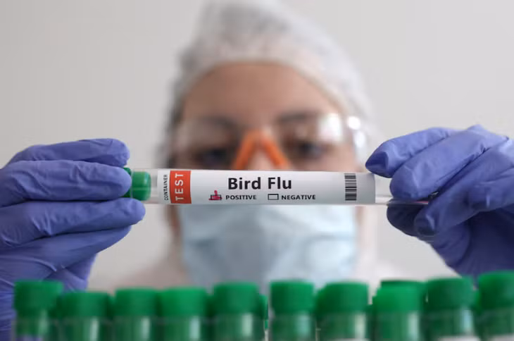 Nhân viên y tế cầm ống nghiệm đánh dấu "dương tính cúm gia cầm" - Ảnh minh họa: REUTERS