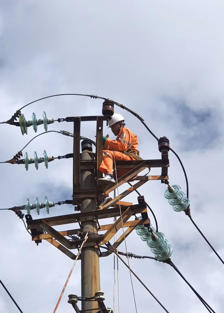 Công nhân Điện lực thành phố Hạ Long tổ chức thay sứ trên đường dây 22kV