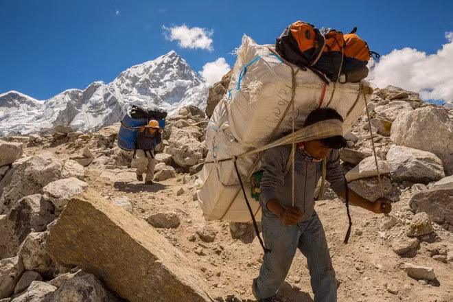 Người Sherpa khuân vác mang hàng hóa từ trang trại trên đỉnh Everest (cao nhất thế giới) xuống các ngôi làng ở Gorak Shep, Nepal để cất giữ. Trải qua hàng nghìn năm sống ở vùng cao, họ đã có được những đột biến gen cho phép họ sử dụng oxy hiệu quả hơn.